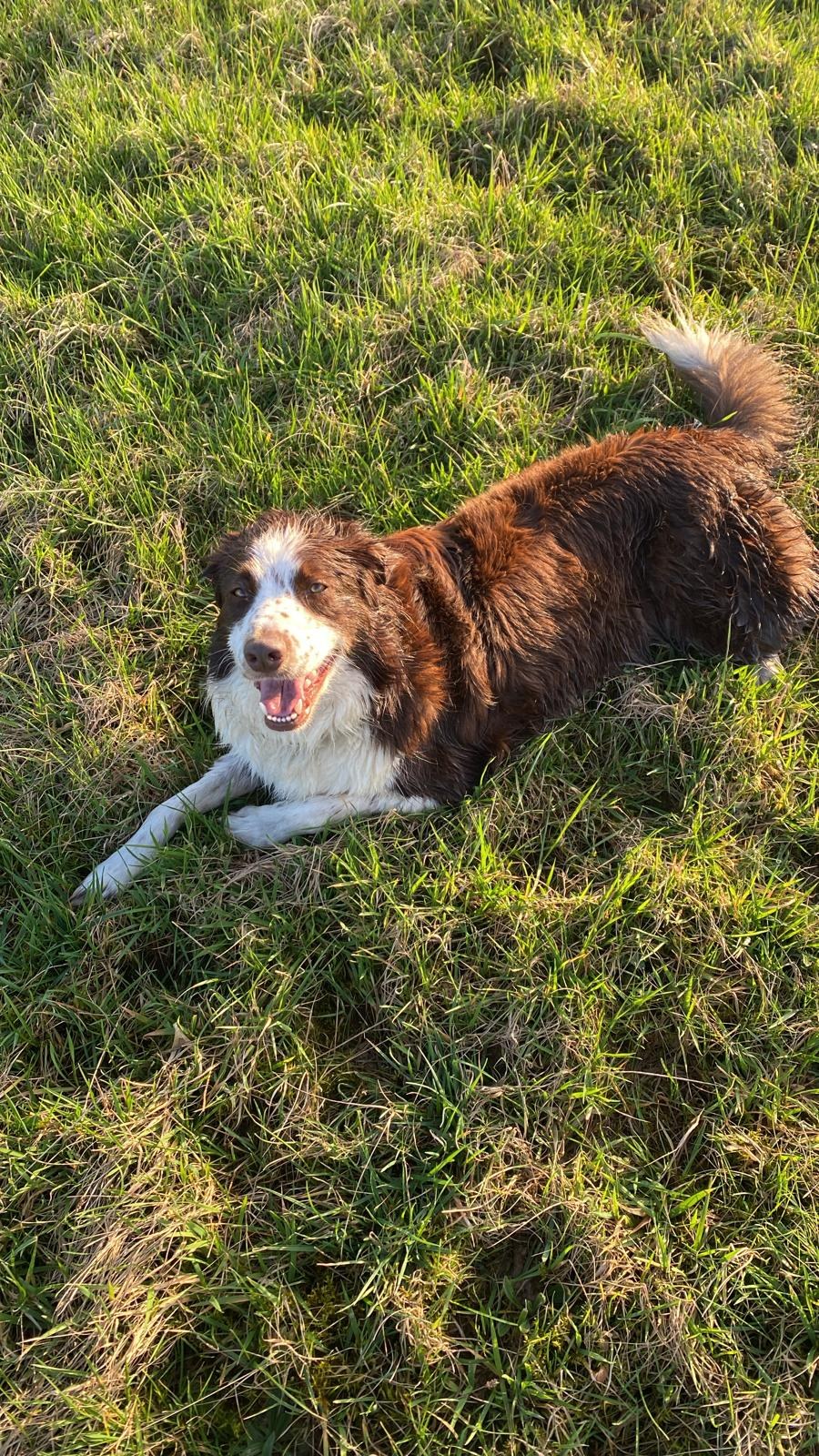 Prana dans la nature